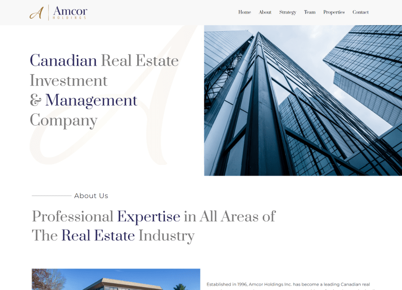 Amcor Holdings